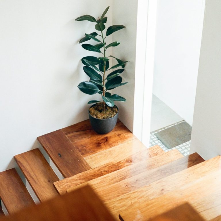 Overview of residential building services including extensions, renovations and property improvements